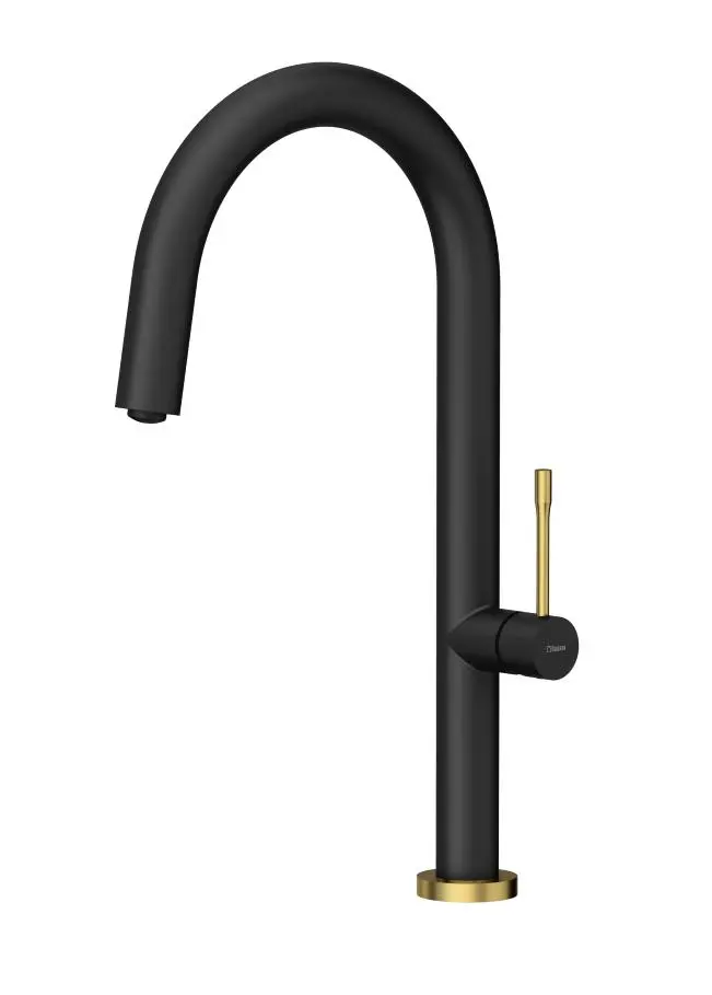 Quadron Haley T Line 3623522BLMPVDG1 Pure carbon/Złoty Stal szlachetna