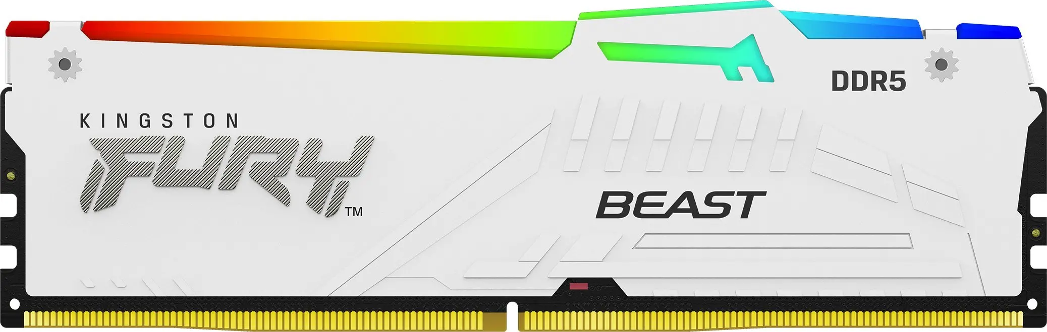 Kingston FURY Beast RGB DDR5 16GB 6000 CL30 EXPO Biały