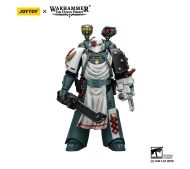 Joy Toy Warhammer The Horus Heresy Sons of Horus Legion Apothecary