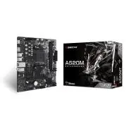 Biostar A520MT