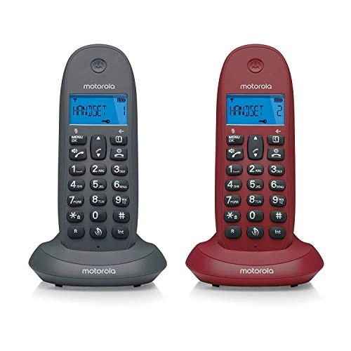 Motorola C1002GW Duo
