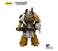 Joy Toy Warhammer 40k Imperial Fists Legion Apothecary
