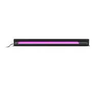 Philips Hue White and Colour Ambiance Amarant