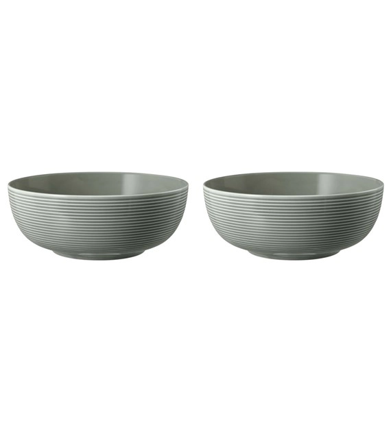 Seltmann Beat Glaze 001.757380-Z 2 elementy 20cm