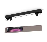 Philips punktowy Centris 4 Czarny