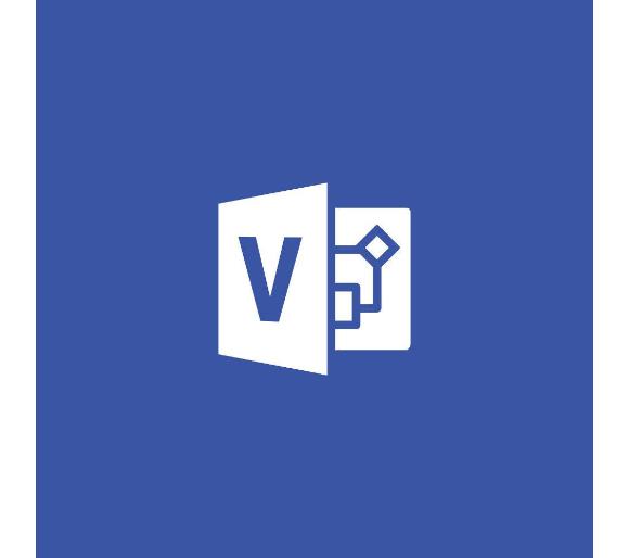oprogramowanie Microsoft Visio Standard 2019 D86-05822 (kod)