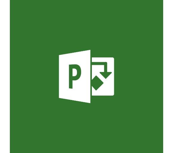 oprogramowanie Microsoft Project Professional 2019 H30-05756 (kod)