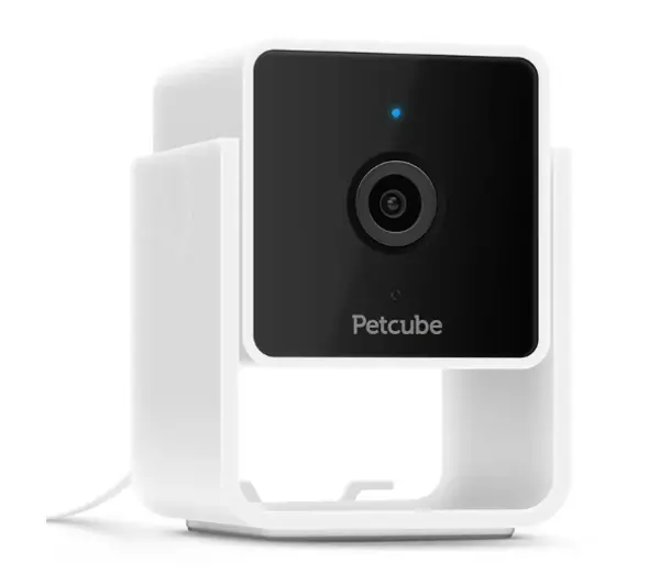 Petcube Cam