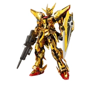 Bandai RG 1/144 AKATSUKI GUNDAM OOWASHI UNIT